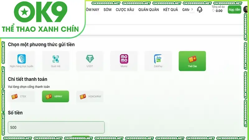 Kiểm tra kỹ thông tin trước khi nạp tiền OK9